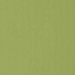 carbc-7937.jpg
